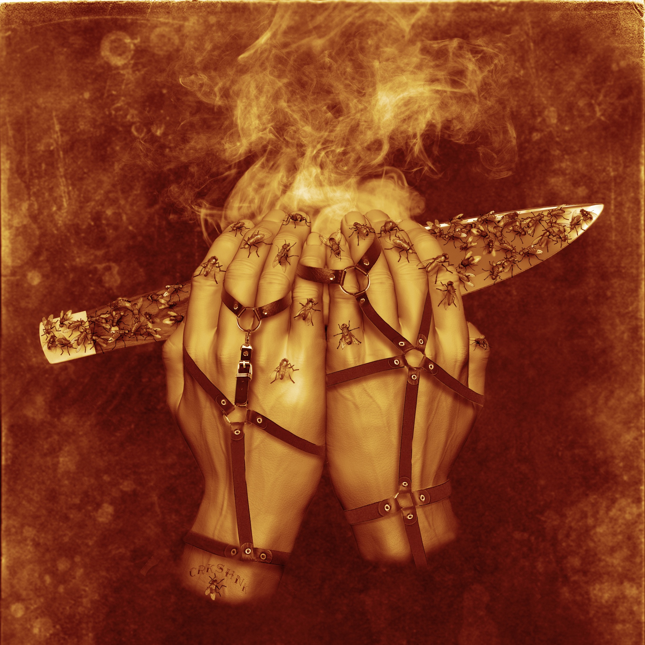 flypaper cover art